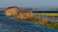 023_Biebrza - kwiecien 2010